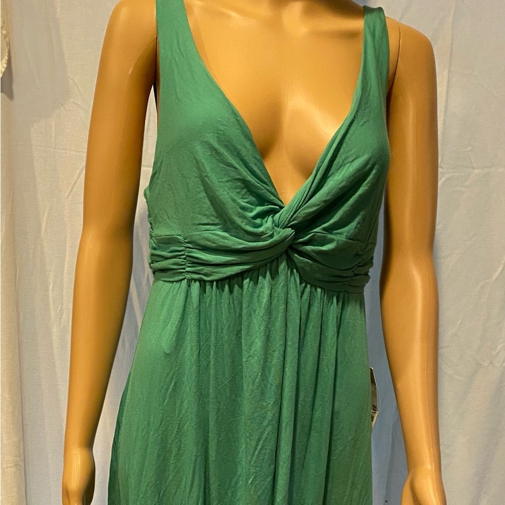 Aliza Dress Flora Green Plus Sz S